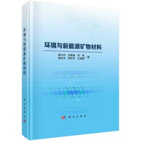 环境与新能源矿物材料 廖立兵著 9787030745880