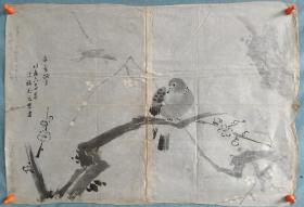 【724】清代时期，花鸟图，纸本双面画稿，尺寸56✘38。