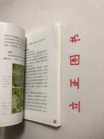 【正版现货，一版一印】浙南地区大棚番茄生产实用技术手册（图文版）设施越冬番茄产业是浙南地区最具区域优势、最有发展潜力的农业主导产业之一。据统计，浙南地区大棚越冬番茄现有栽培面积10万亩，总产量近50万吨，产值约12亿元，已成为浙南地区农业增效、农民增收的新举措。广大菜农依靠科技发家致富的要求十分迫切，非常需要通俗易懂的图书以指导其选良种、育好苗、用好肥、施准药、保好温、点好花，品相好，实用性强