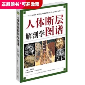 人体解刨学：人体断层解剖学图谱（精装）