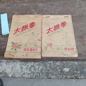 傅式太极拳名科动作简记表（上下）油印
