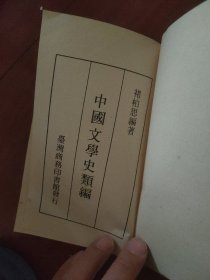 中国文学史类编（人人文库）