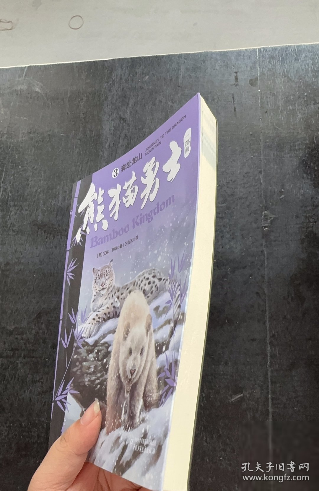 熊猫勇士一部曲--（3）奔赴龙山艾琳·亨特 著；王会元 译；刘莹；沙立9787514854749