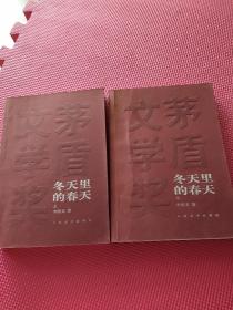 冬天里的春天（全二册）