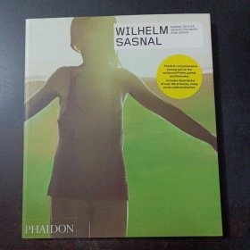 Wilhelm Sasnal——z5