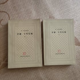 安娜·卡列尼娜（上下两册）网格本