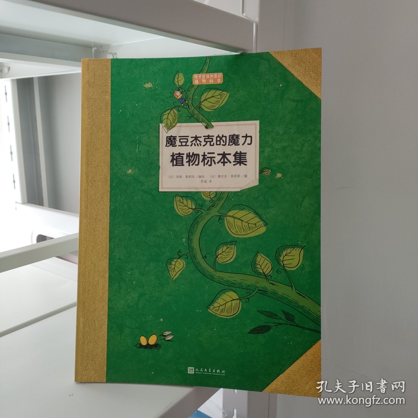 魔豆杰克的魔力植物标本集（孩子应该知道的植物标本）正版