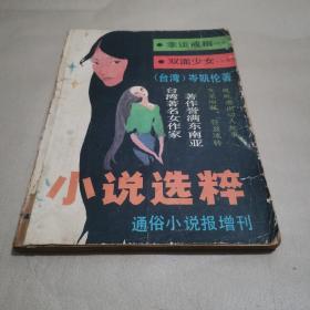 小说选粹通俗小说报增刊