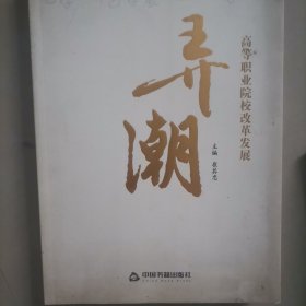 弄潮 : 高等职业院校改革发展