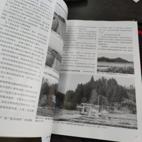 乡土景观设计手法：向乡村学习的城市环境营造