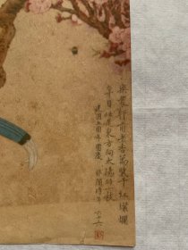 50年代老画片，于非闇《花鸟》