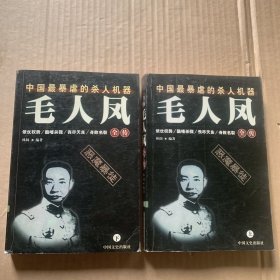 毛人凤全传 上下