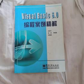 Visual Basic 6.0 编程案例精解