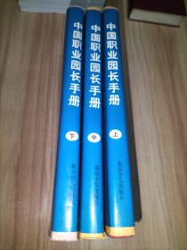 中国职业园长手册——全面打造职业园长、构建园长职业成功之路 上中下册全【幼儿园园长】