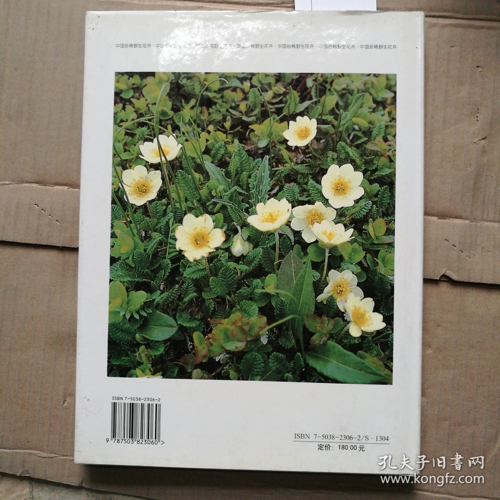 中国珍稀野生花卉2