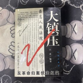 大镇压:反革命归案伏法纪实