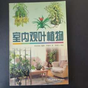 室内观叶植物