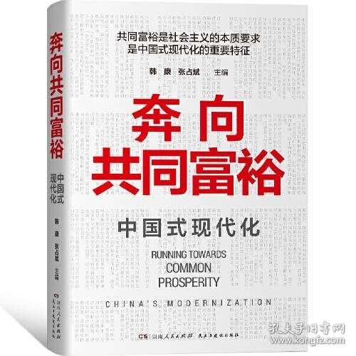 奔向共同富裕（读懂共同富裕，看清未来中国！深入浅出，雅俗共赏，两大TOP级智库联袂巨献，通俗理论重磅大作！）