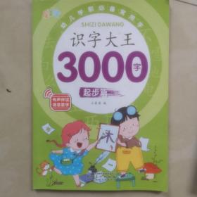 识字大王300字起步篇