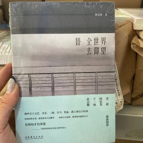 替全世界去仰望