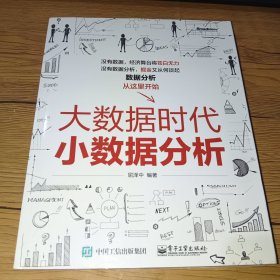 大数据时代小数据分析【一版一印，内页干净】