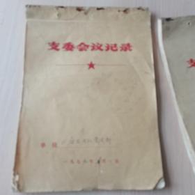 中医笔记（2本）