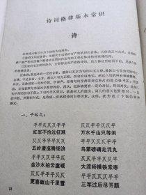 中学语文教学参考资料