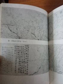 《扬州八怪》个人藏书内页近全新，没有翻阅过，封面自然旧，如图所示。