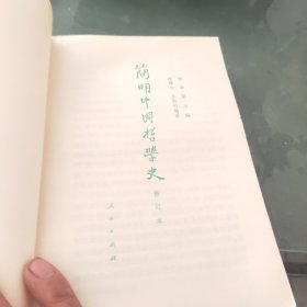 简明中国哲学史(修订本)