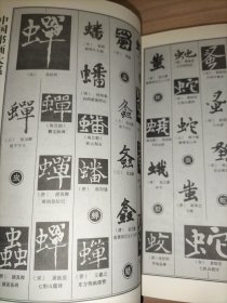 中国书画大系：中国楷书大字典