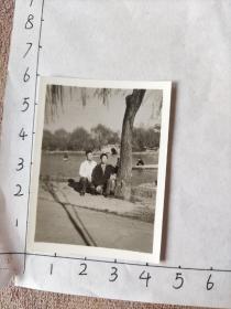 云南大学经济系老教授汤国辉相册:50年代两帅哥翠湖边合影照片(左一汤教授？)