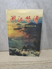 浰江怒涛