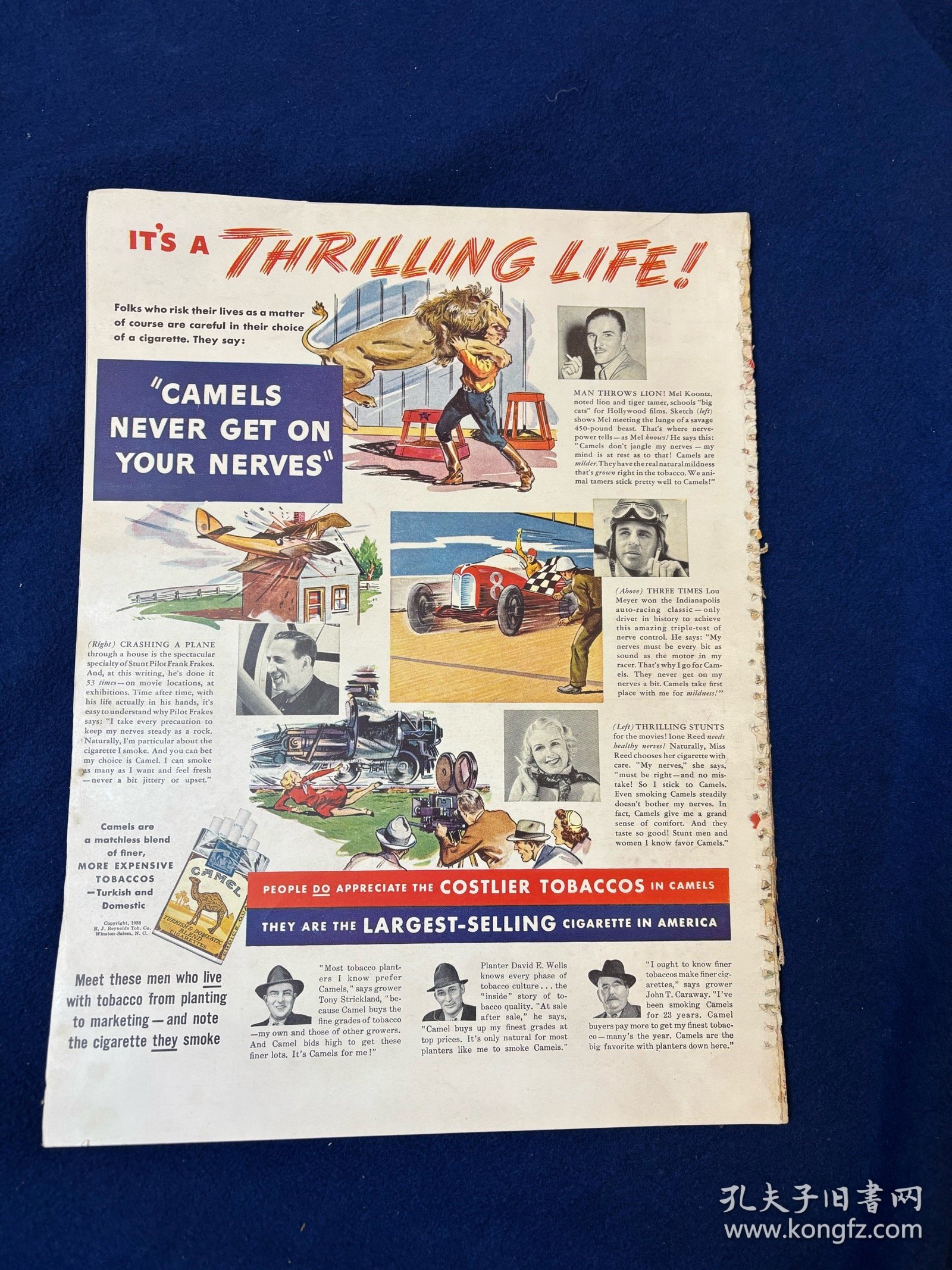 点击查看原图 美国生活杂志关于重庆报道共9篇专题:1938年11月7日life magazine:日本占领华北,华南,和华中,蒋介石或将成为一个“过去时” (1)(实)