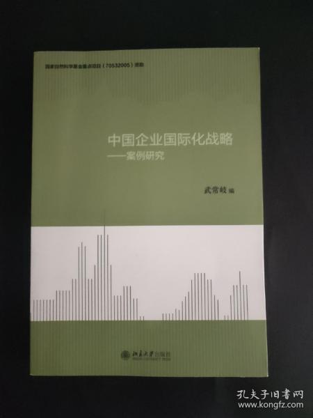 中国企业国际化战略：案例研究 内页干净无笔迹