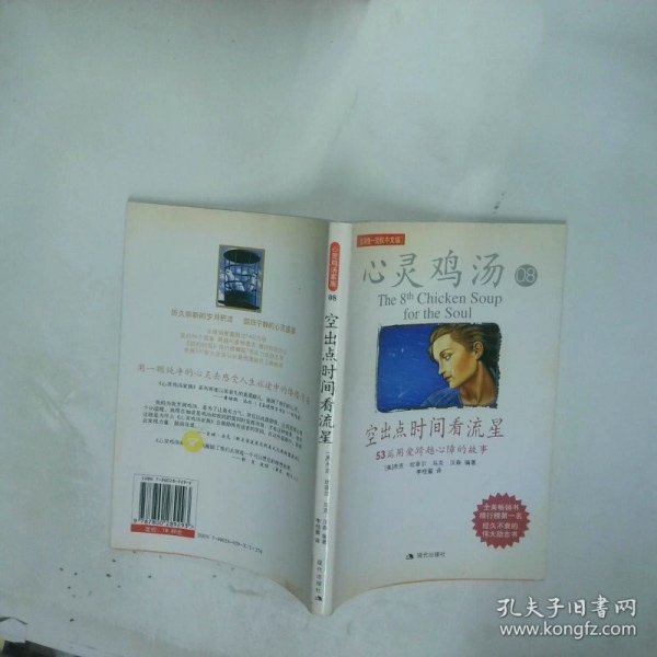 空出点时间看流星：53篇用爱跨越心障的故事