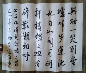 赵海若 书法 231