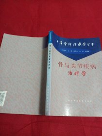 2411A16：骨与关节疾病治疗学（中华骨科治疗学丛书）
