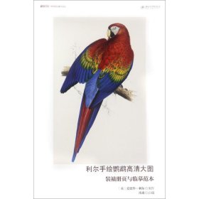 【正版新书】利尔手绘鹦鹉高清大图