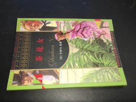 世界少年文学精选 茶花女