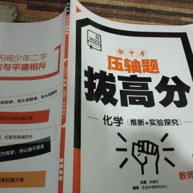 2023新中考压轴题拔高分化学