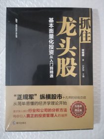 南派投资心法丛书:抓住龙头股:基本面量化投资从入门到精通