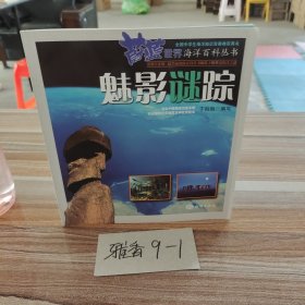 魅影迷踪