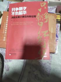 只争朝夕不负韶华——决胜全面小康迈向新征程