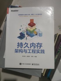 持久内存架构与工程实践