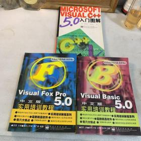 Visual FoxPro 5.0中文版实用培训教程；三本合售