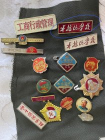 林东实验小学校徽 徽章