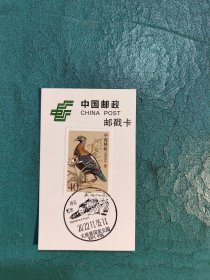 【邮戳卡】鸟