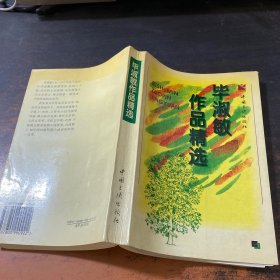 毕淑敏作品精选