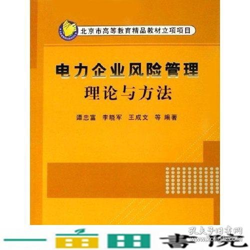 电力企业风险管理理论与方法