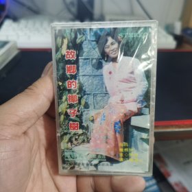 故乡的椰子树 陈蓉蓉独唱歌曲选 没有开封全新